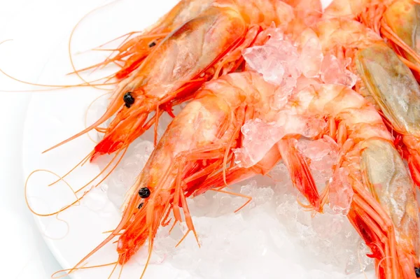 Shrimps with lemon on ice — Stock Photo, Image