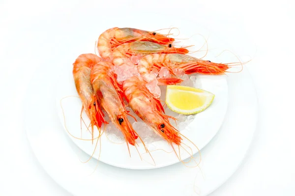 Stock image Shrimps with lemon on ice