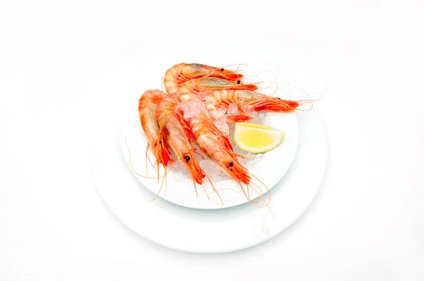 stock image Shrimps with lemon on ice