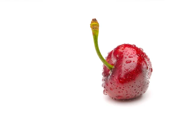 stock image Cherry