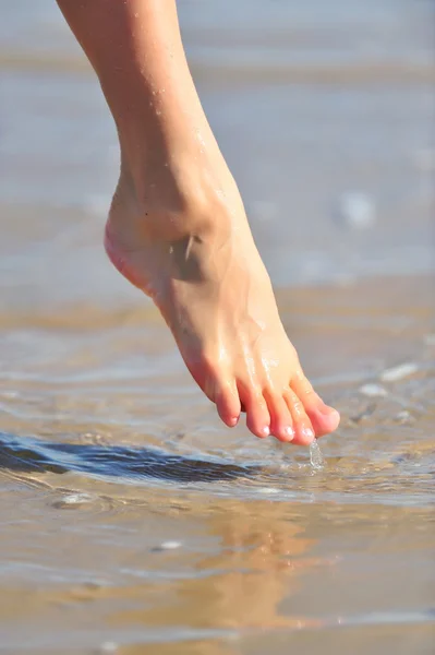 Nice woman foot in the water