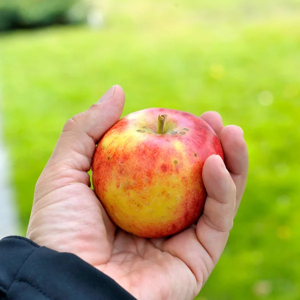 Macho sosteniendo la manzana — Foto de Stock
