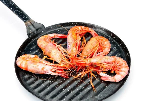 Cooked shrimps — Stock Photo, Image