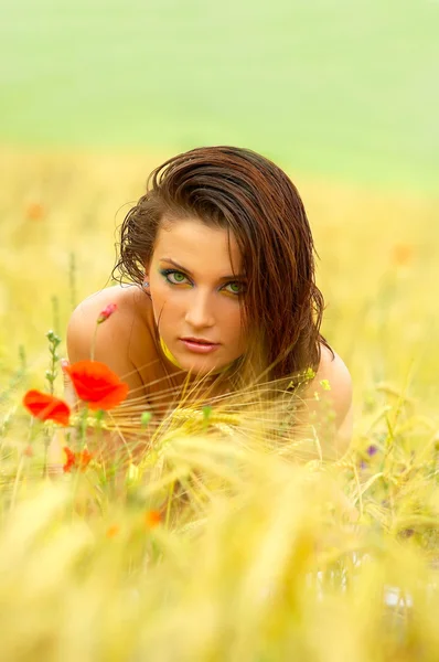 Jonge mooie vrouw op gouden tarweveld — Stockfoto
