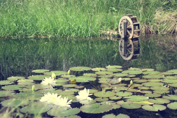 stock image Forest lake