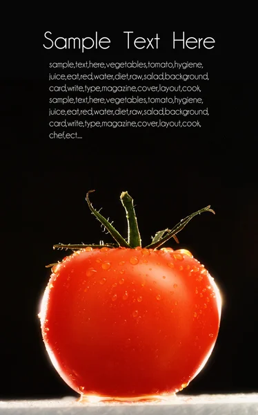 Frische Tomatenkarte — Stockfoto