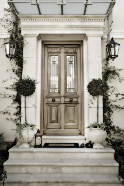 stock image Front door