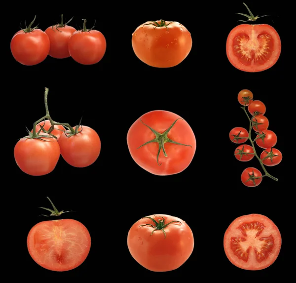 Pomidor — Zdjęcie stockowe