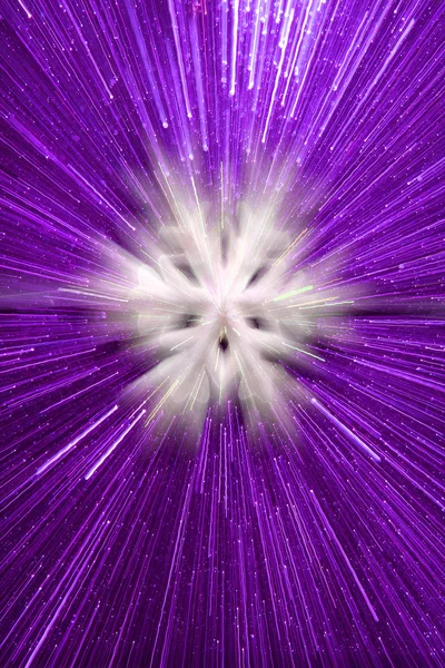 Fondo de copo de nieve púrpura abstracto —  Fotos de Stock