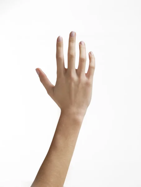 stock image Human hand