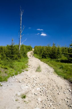 beskidy Mountains Lehçe