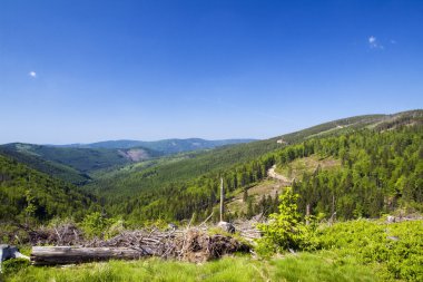 beskidy Mountains Lehçe