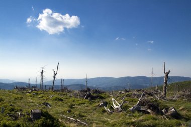 beskidy Mountains Lehçe