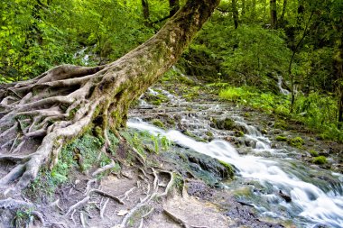 Plitvice Gölleri, Hırvatistan