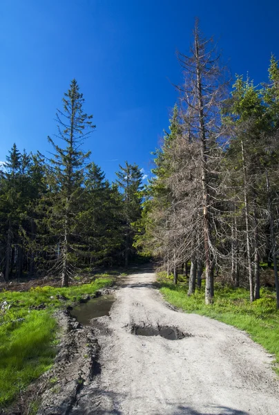 Polskie góry, beskidy — Zdjęcie stockowe