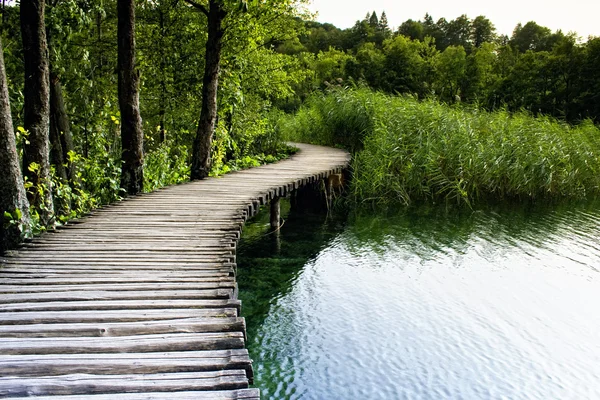 stock image Plitvice lakes in Croatia