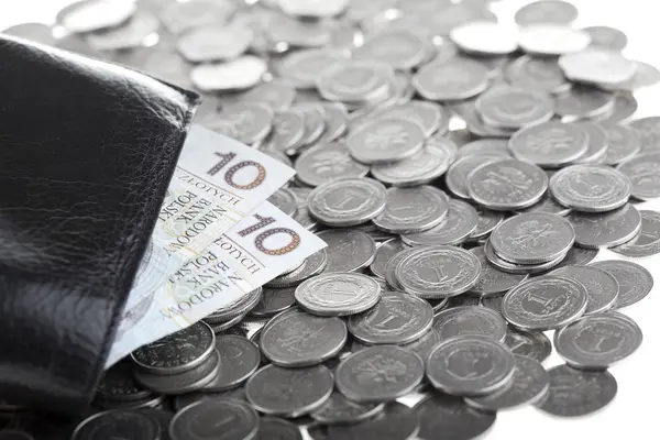 Dinheiro polaco — Fotografia de Stock