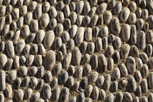 Stock image Walkway path made of stones