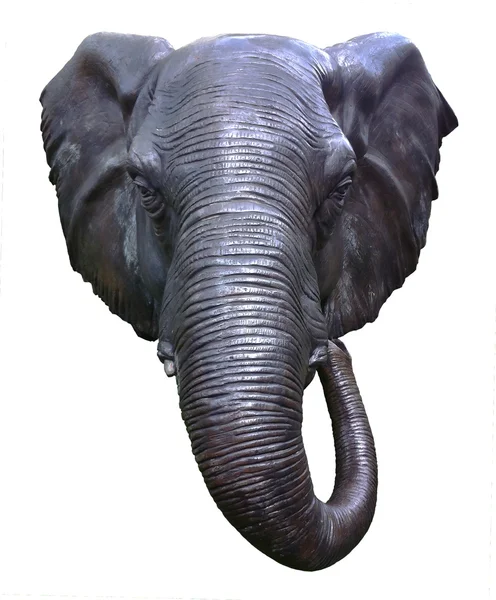 stock image Elephant head