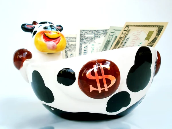 Cash Cow close up Stock Picture