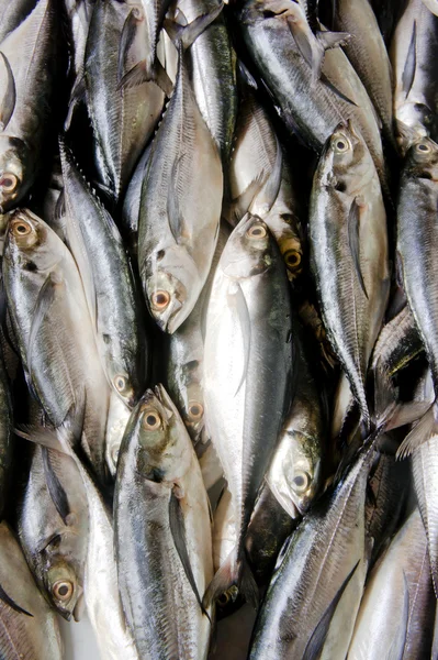 市場の魚 — ストック写真