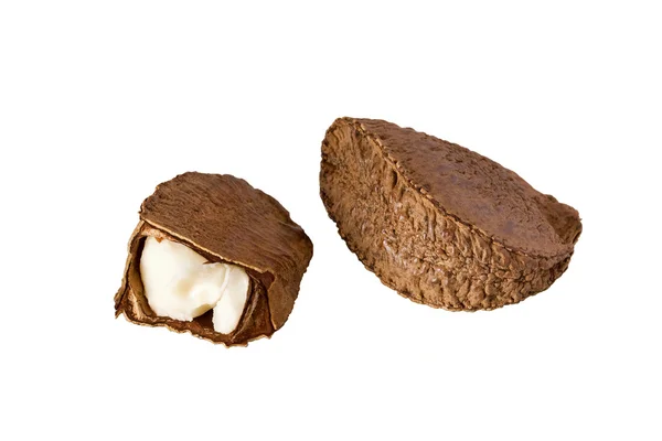 Бразильский орех — стоковое фото
