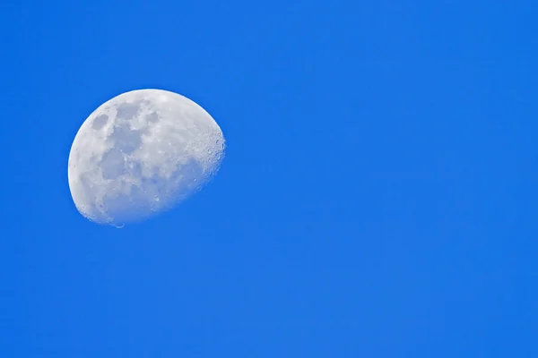 Mond gegen blauen Himmel — Stockfoto