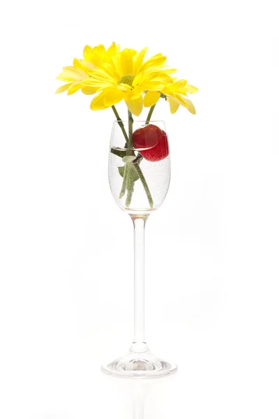 Fiori gialli in un bicchiere di vino su sfondo bianco — Foto Stock