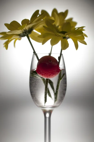 Gula blommor i ett vin-glas på en vit bakgrund — Stockfoto