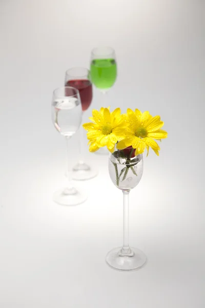 Gula blommor i ett vin-glas på en vit bakgrund — Stockfoto