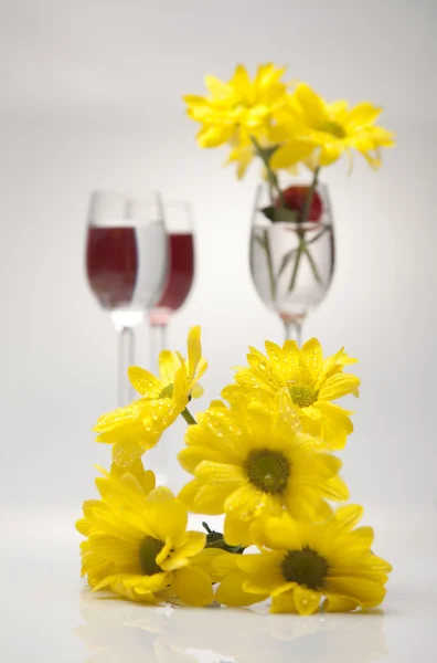 Желтые цветы в бокале на белом фоне — стоковое фото