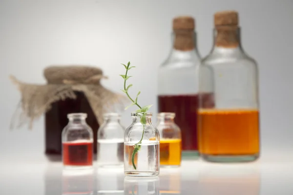 Small bottle with a green branch on a grey kitchen table — Stock Photo, Image