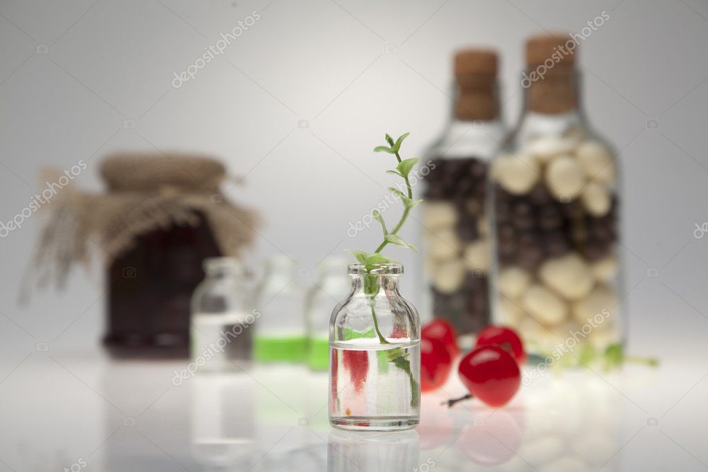 Petite Bouteille Avec Une Branche Verte Sur Une Table De