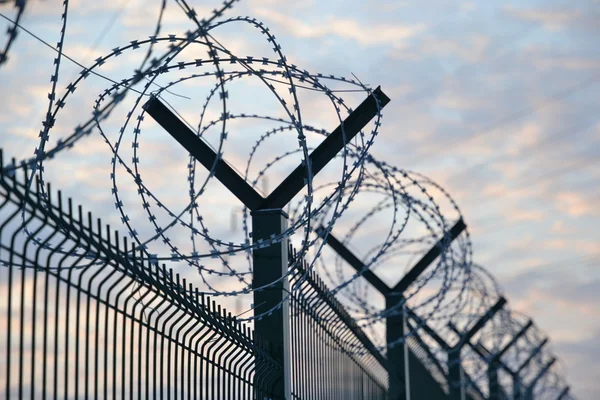 stock image Fence and barbed wire