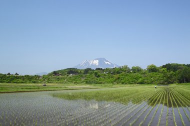 mt.iwate ve pastoral manzara