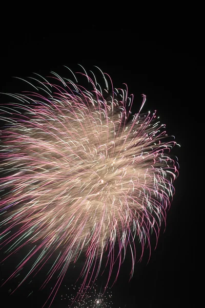 Tűzijáték éjjel — Stock Fotó