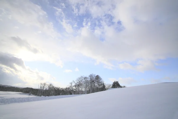 stock image Snow field and blue sky