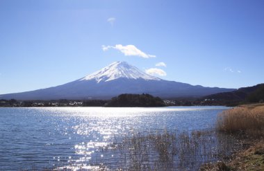 Mt.Fuji and lake Kawaguchi clipart