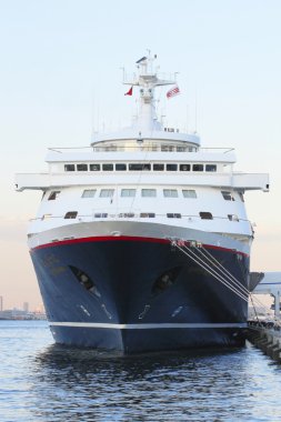 cruise gemi yokohama osanbashi iskelede