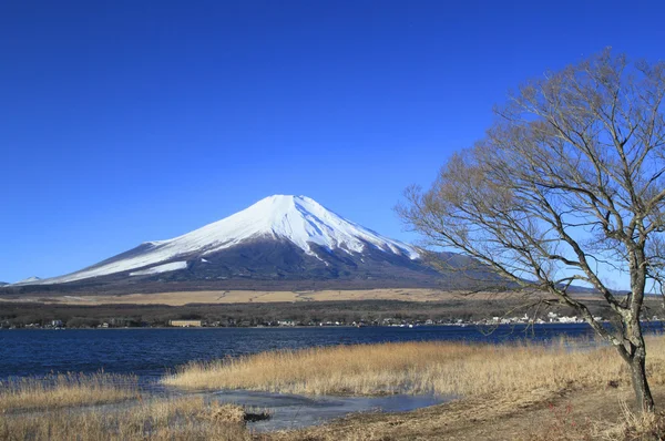 Mont Fuji et ciel bleu — Photo