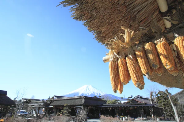 Milho amarelo e Mt.fuji — Fotografia de Stock