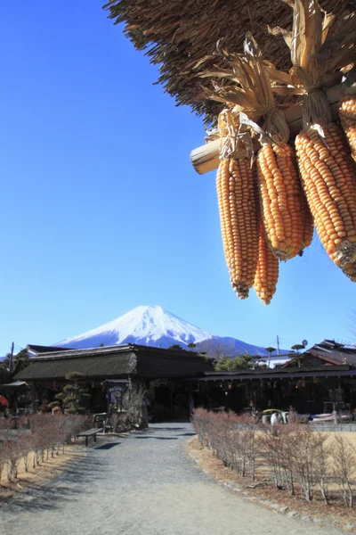 Yellow corn and Mt.fuji — Stock Photo, Image
