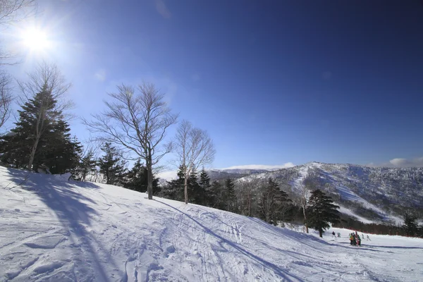 stock image Ski run