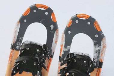 Snow shoes clipart