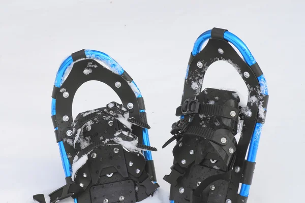 stock image Snow shoes