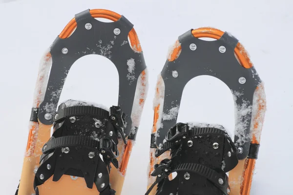 stock image Snow shoes