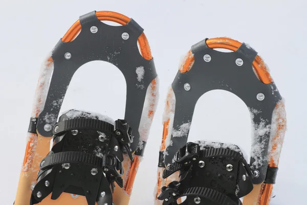 stock image Snow shoes
