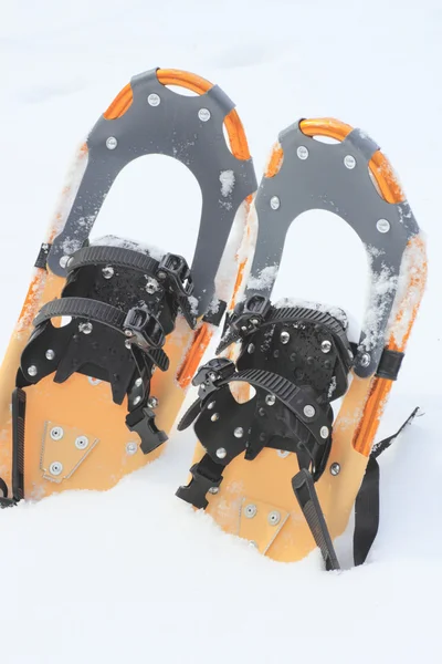 stock image Snow shoes