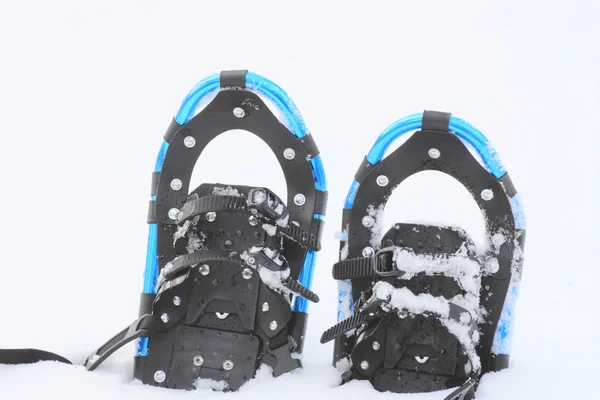 stock image Snow shoes