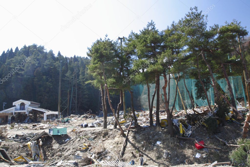 The great east japan earthquake